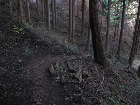 20161117hike (295)
